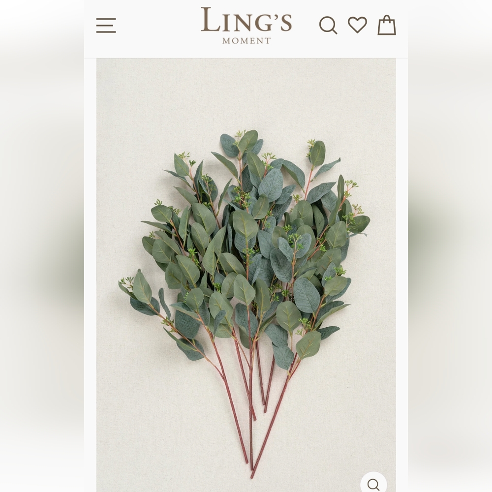 Sage Green Seeded Oval Eucalyptus